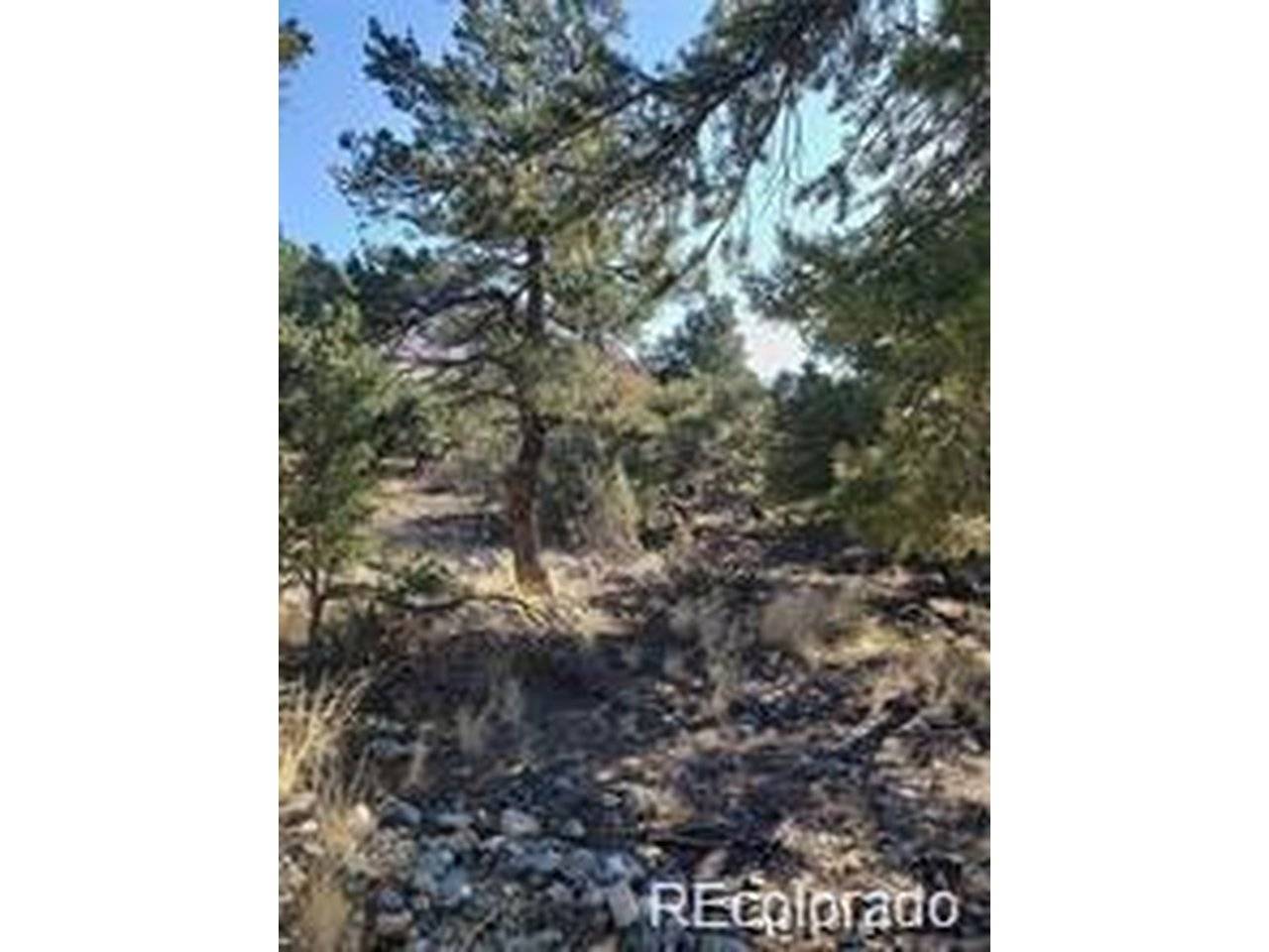 148 Lake Of The Falls, Mosca, CO 81146