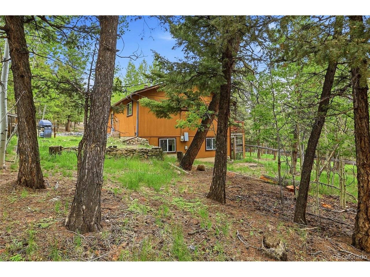 175 Mount Bailey, Bailey, CO 80421