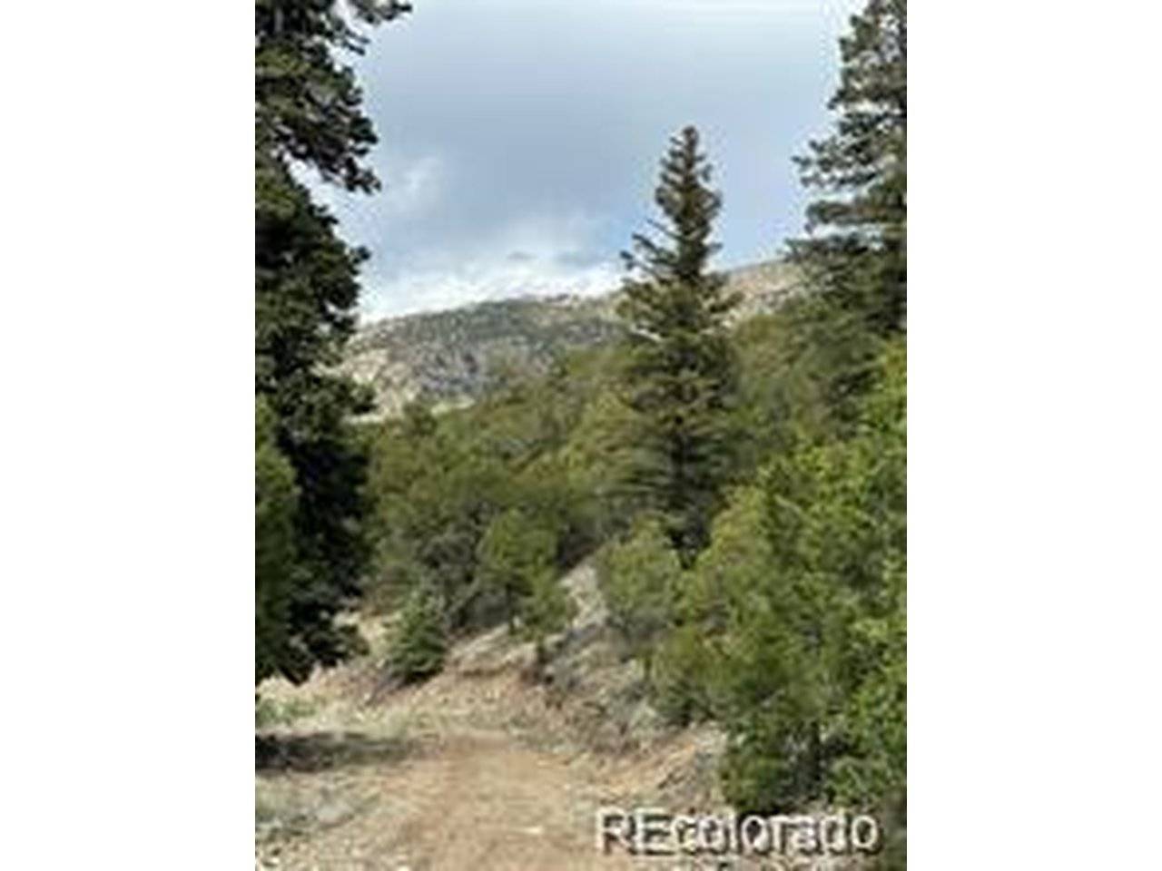 2 Arrestre, Mosca, CO 81146