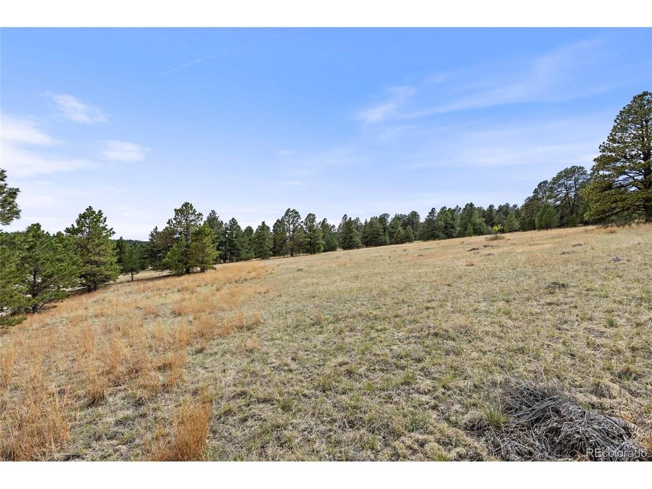 8653 N Teacup, Elbert, CO 80106