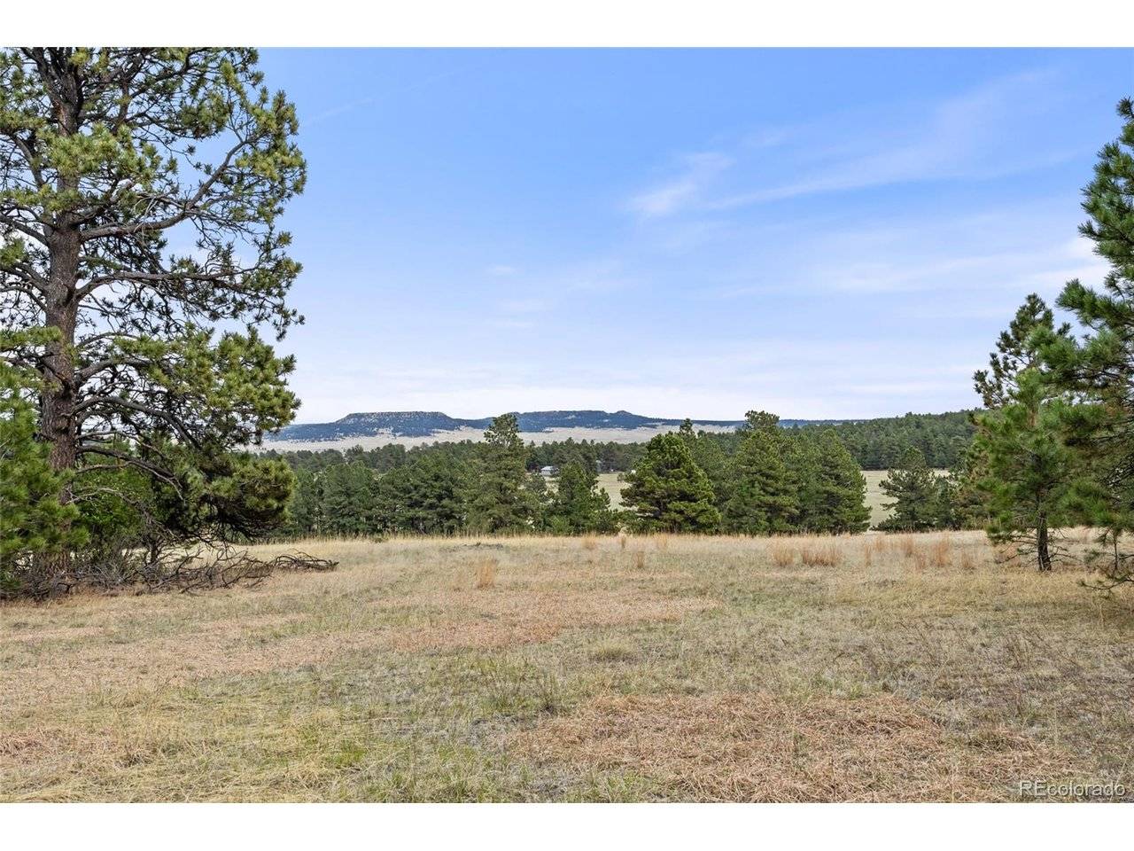 8653 N Teacup, Elbert, CO 80106
