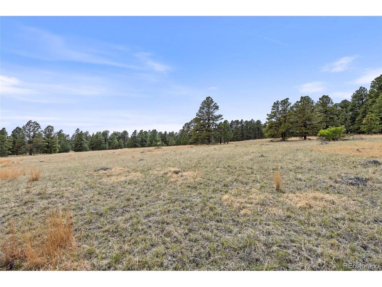 8653 N Teacup, Elbert, CO 80106