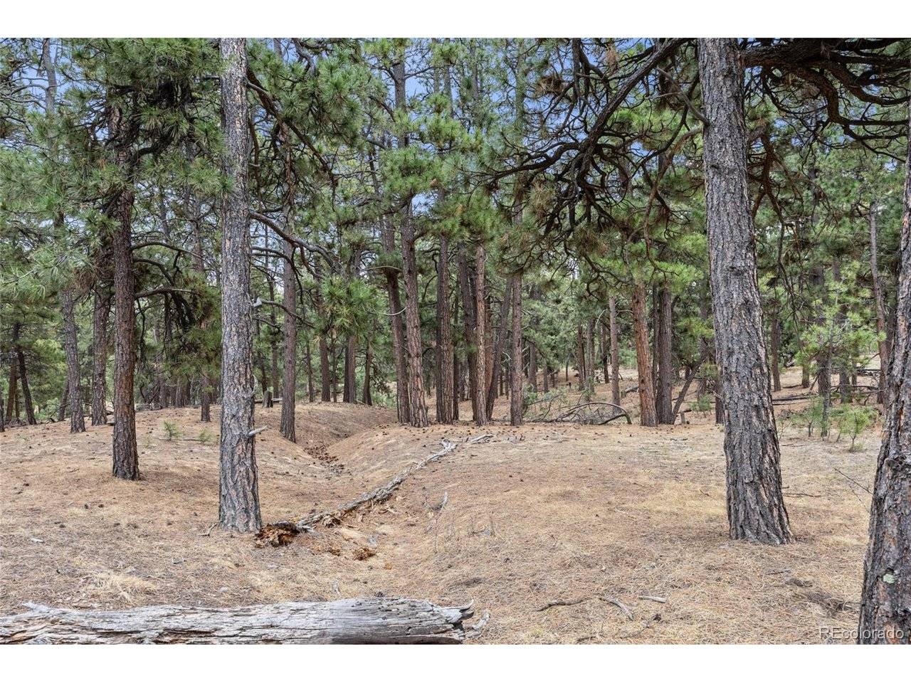 8653 N Teacup, Elbert, CO 80106