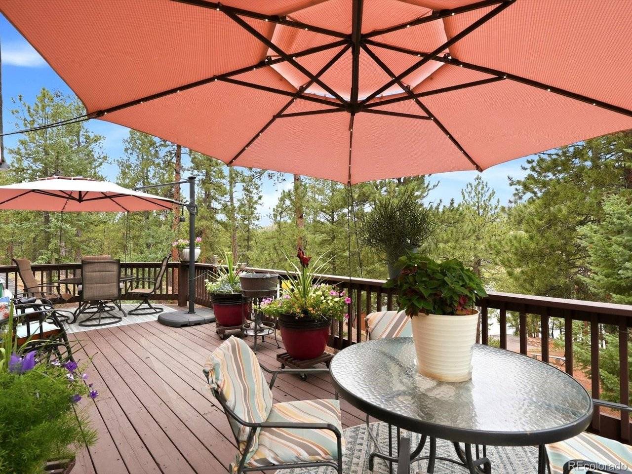 15026 Pine Lake, Woodland Park, CO 80863