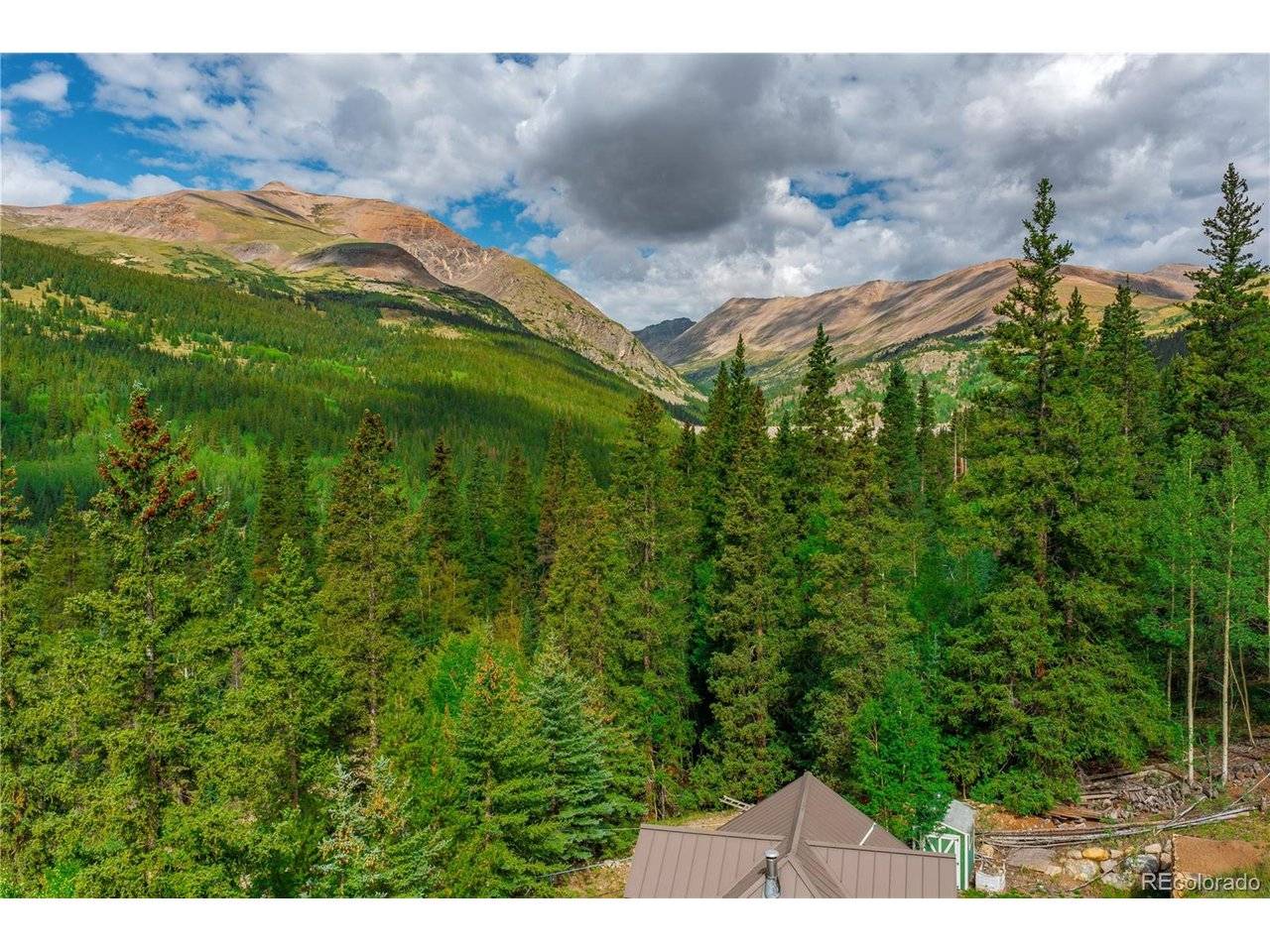 420 Nuthatch, Alma, CO 80420