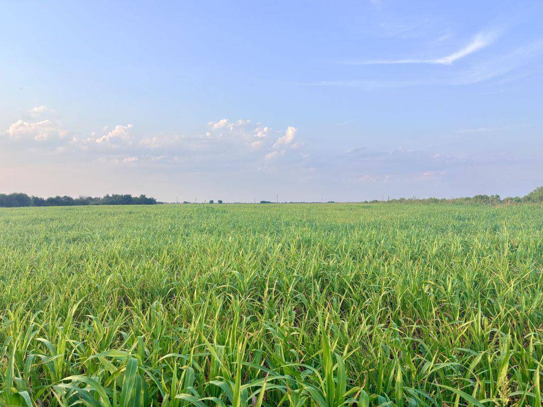 366 County Road 123, Buckholts, TX 76518