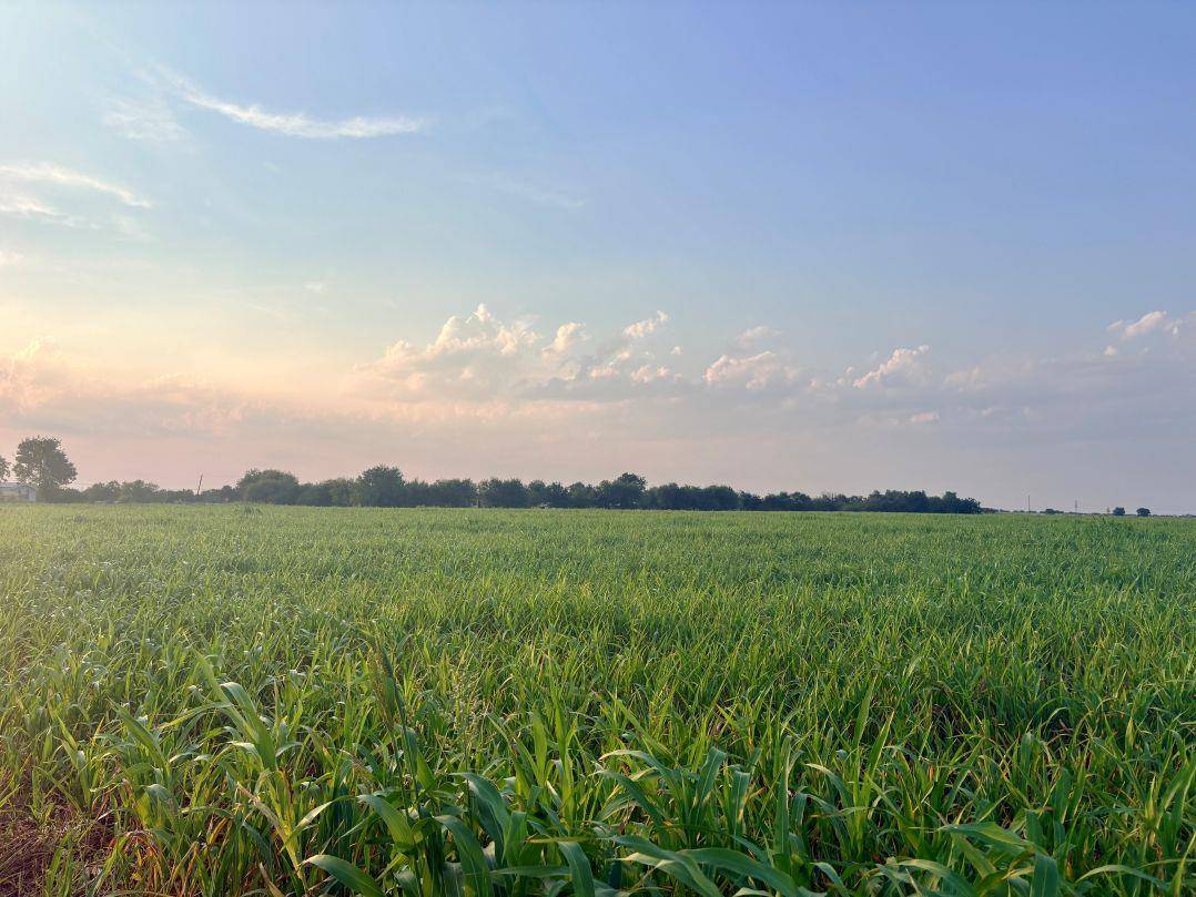 366 County Road 123, Buckholts, TX 76518