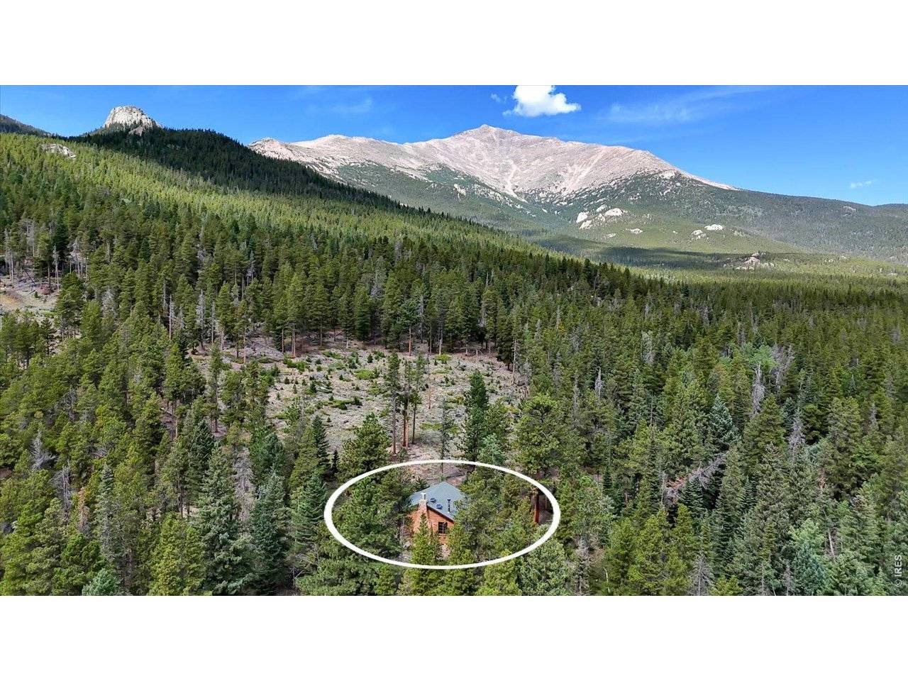 628 County Road 113S, Allenspark, CO 80540