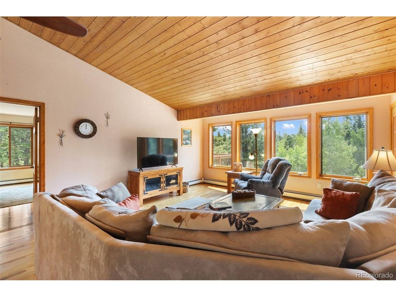 94 Pinewood, Divide, CO 80814