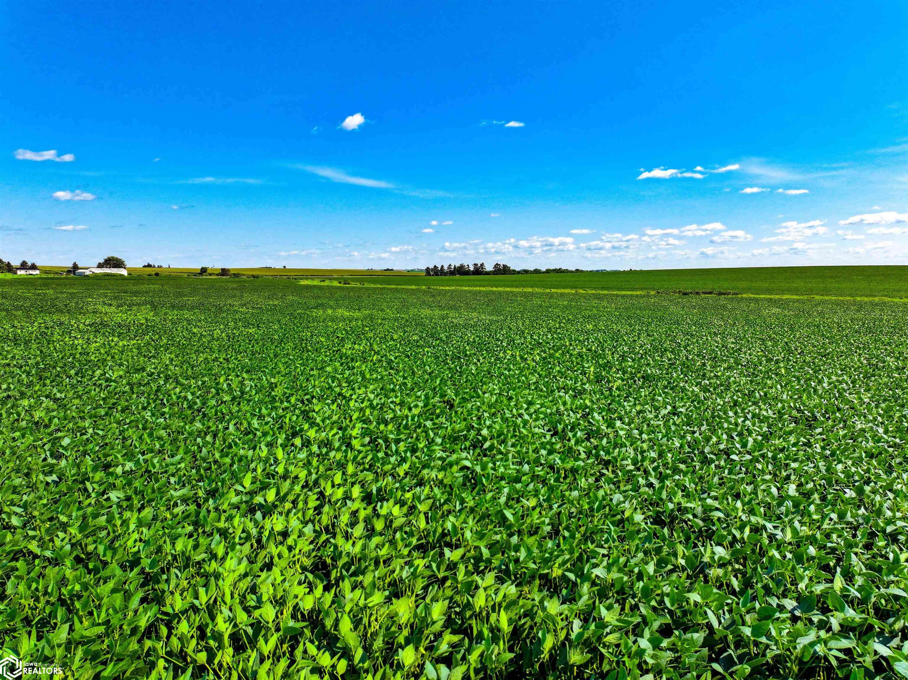 P AVE, Maynard, IA 50655
