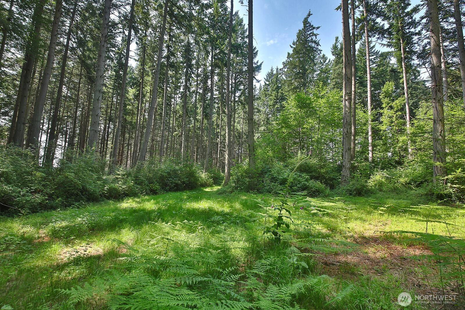 0 XXX Hellman RD, Clinton, WA 98236