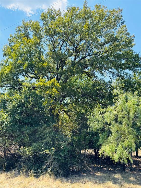 14057 Sandy Oaks Drive, Whitney, TX 76692