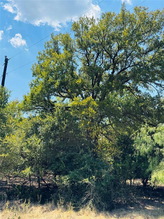 14057 Sandy Oaks Drive, Whitney, TX 76692