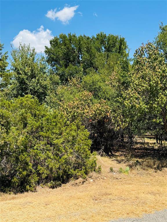 14057 Sandy Oaks Drive, Whitney, TX 76692