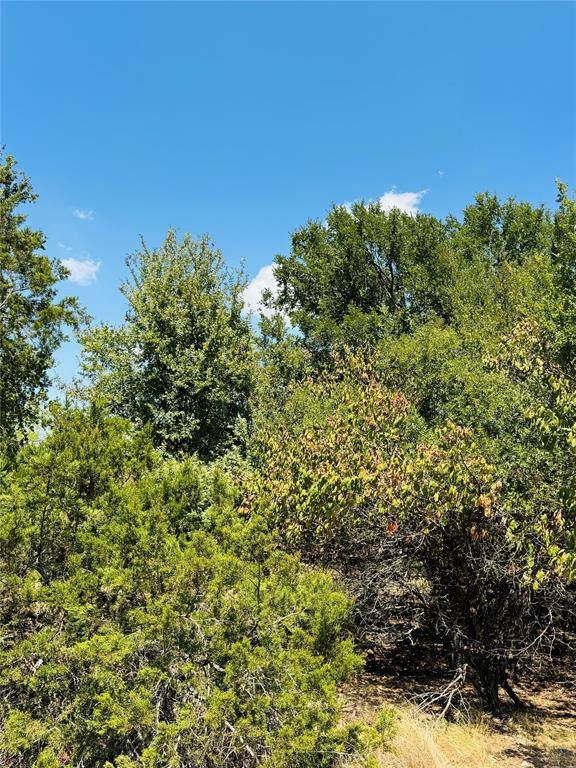 14057 Sandy Oaks Drive, Whitney, TX 76692