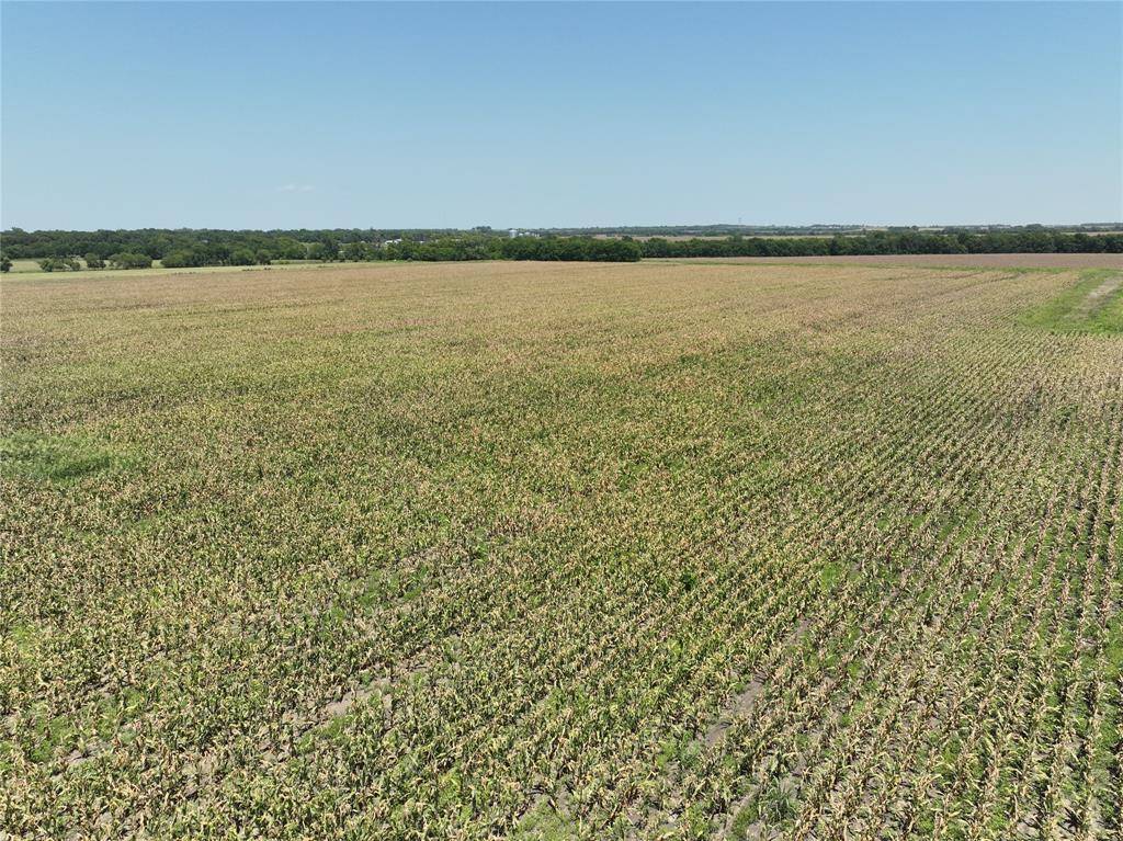 152 Acres FM 137, Petty, TX 75470