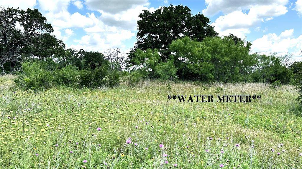 TBD 17 County Road 295, Carbon, TX 76435