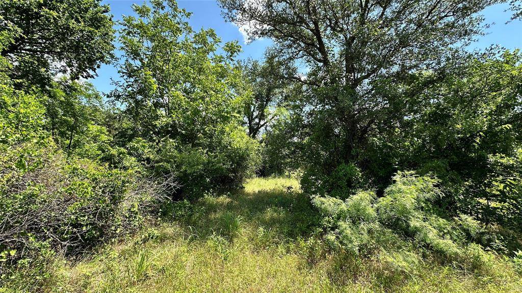 TBD 17 County Road 295, Carbon, TX 76435