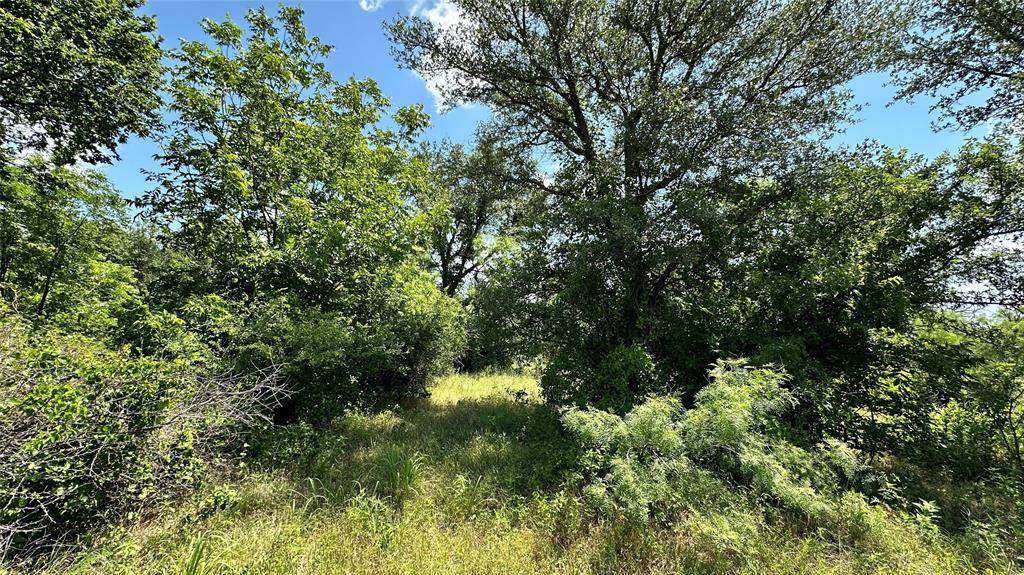 TBD 17 County Road 295, Carbon, TX 76435