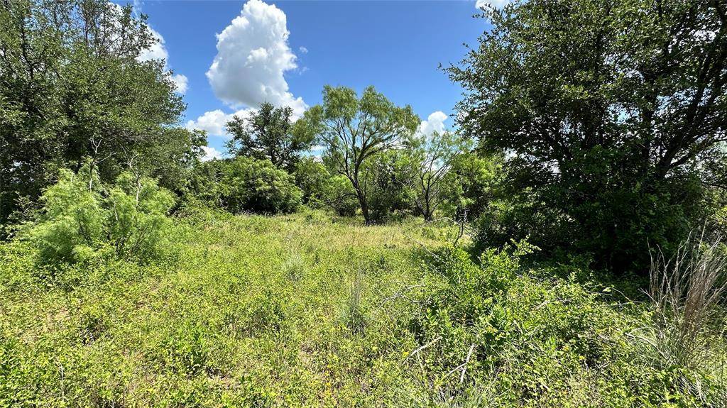 TBD 17 County Road 295, Carbon, TX 76435