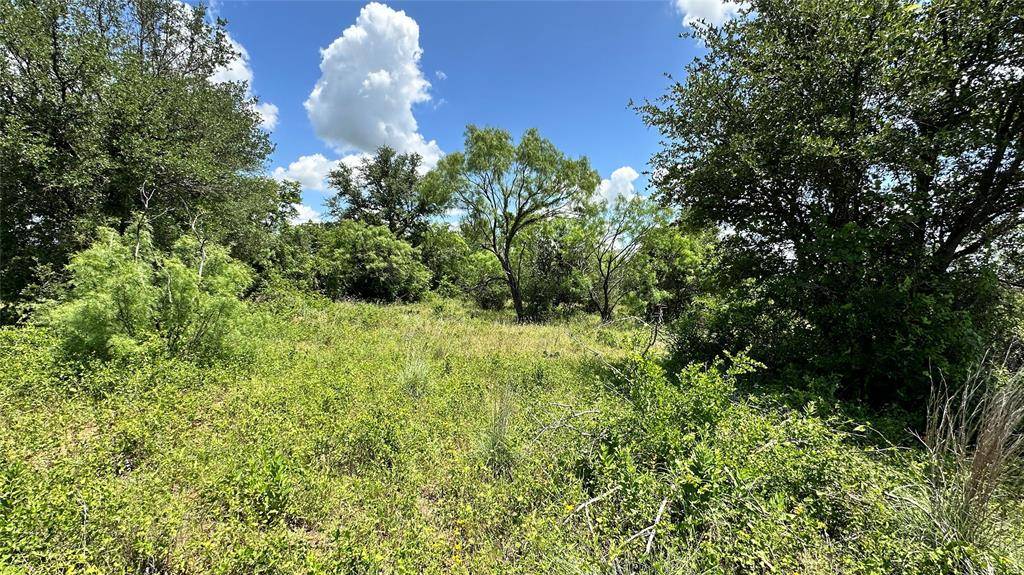 TBD 17 County Road 295, Carbon, TX 76435