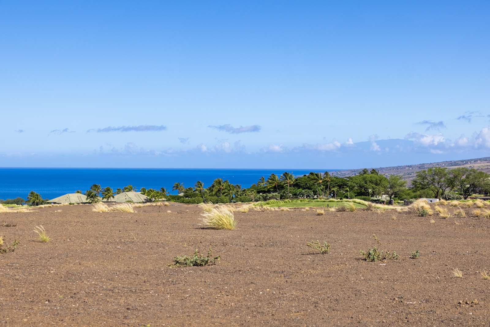 62-6031 AMAUI LANI PL, Kamuela, HI 96743