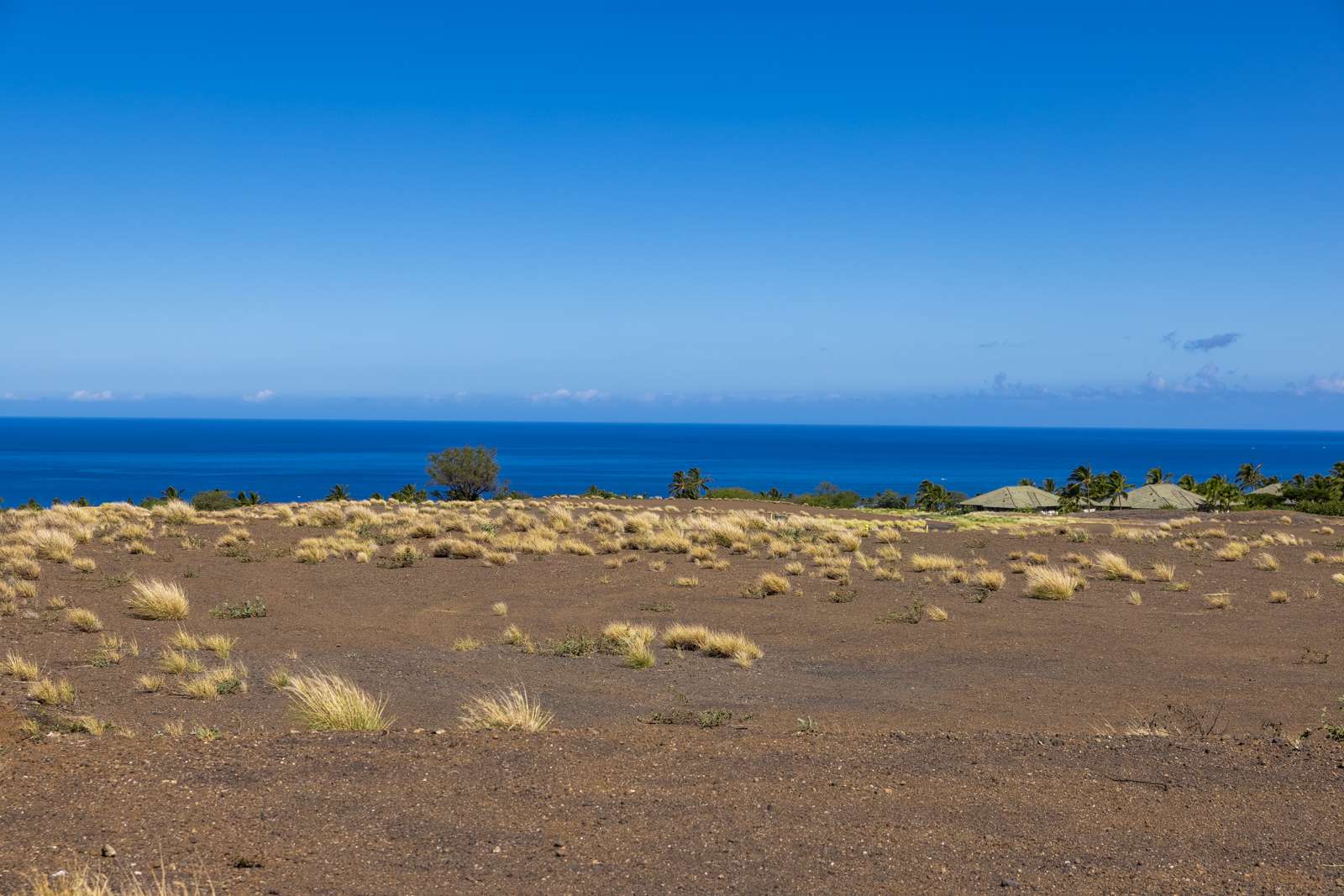 62-6031 AMAUI LANI PL, Kamuela, HI 96743