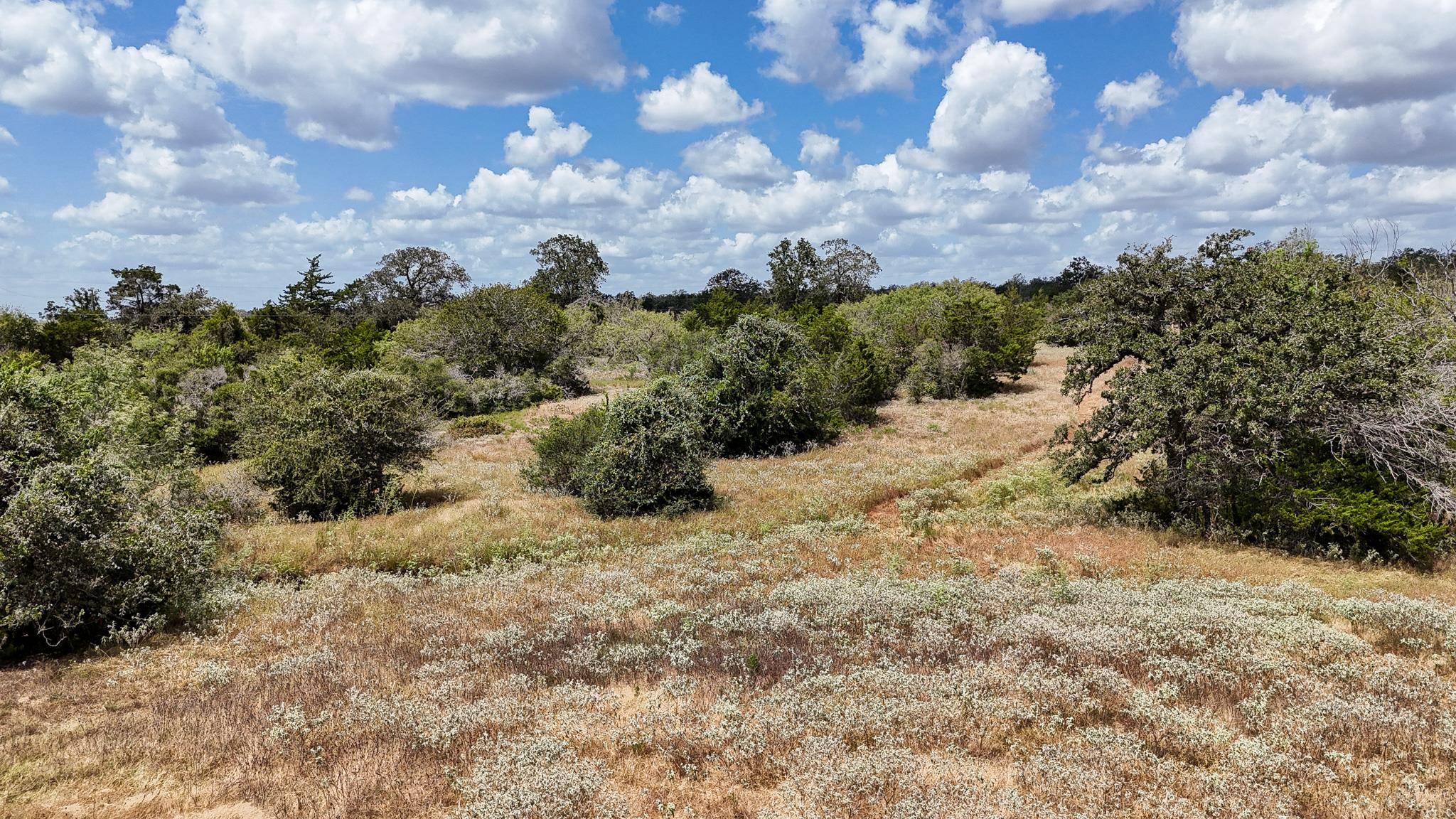 Address not disclosed, Harwood, TX 78632