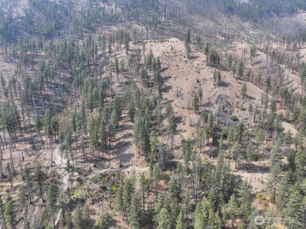 0 Gold Creek Loop RD, Carlton, WA 98814