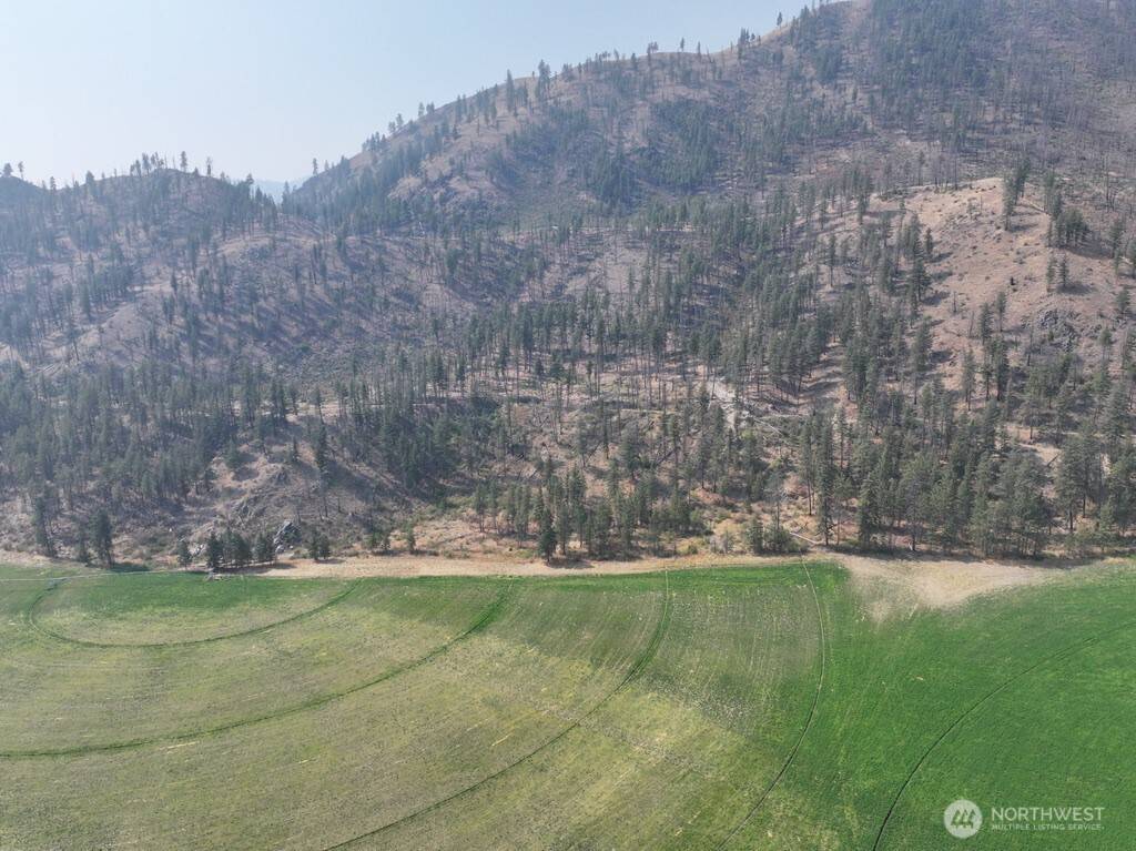 0 Gold Creek Loop RD, Carlton, WA 98814