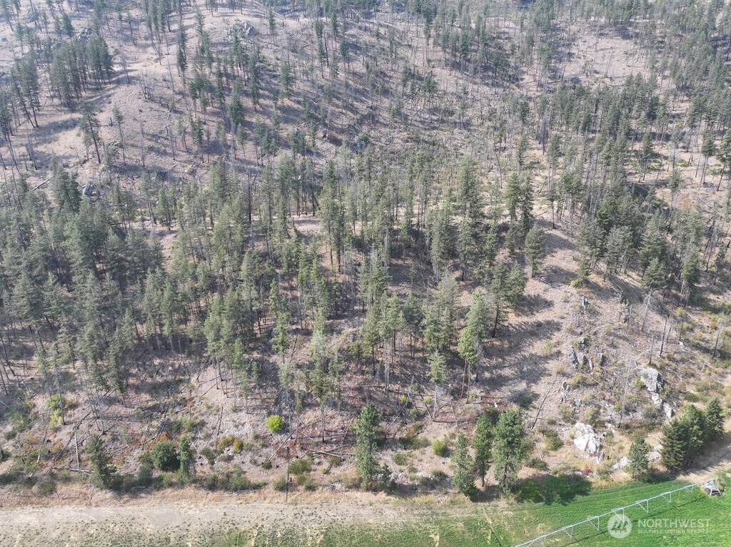 0 Gold Creek Loop RD, Carlton, WA 98814