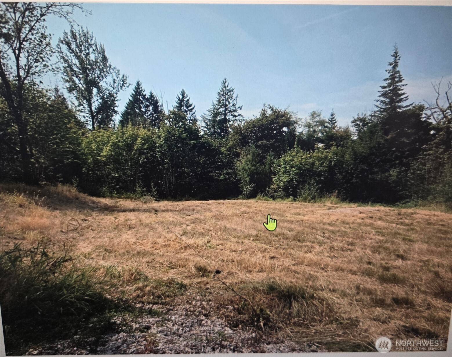144 Dowling RD, Toledo, WA 98591