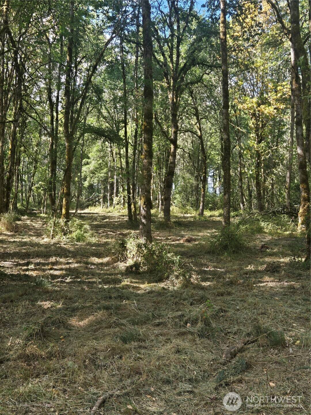 144 Dowling RD, Toledo, WA 98591
