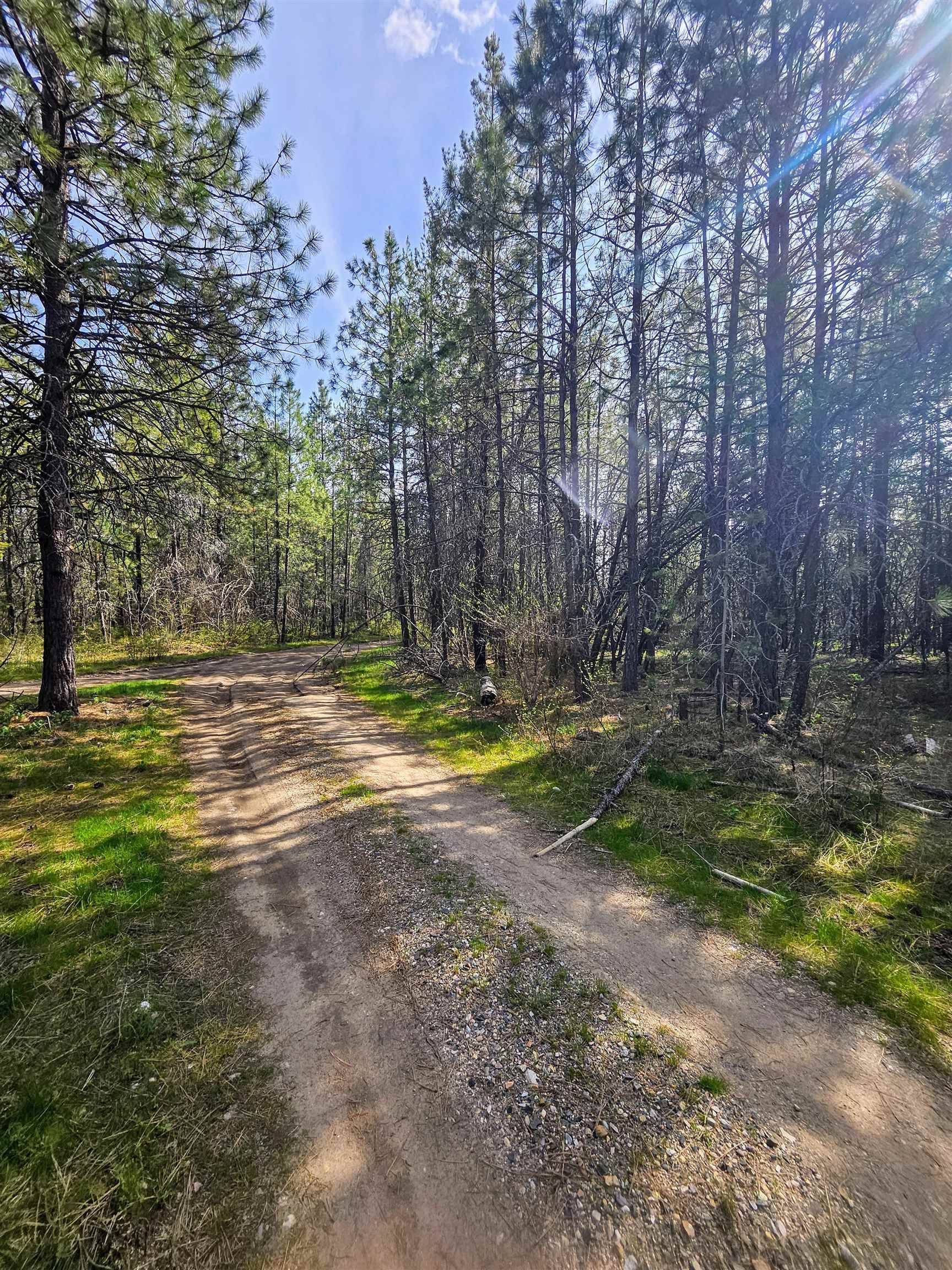 4464 Woods Way Rd, Springdale, WA 99173