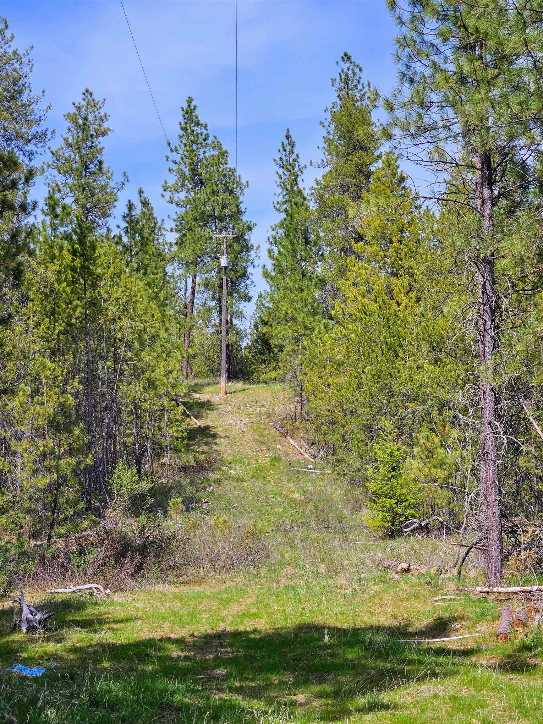 4464 Woods Way Rd, Springdale, WA 99173