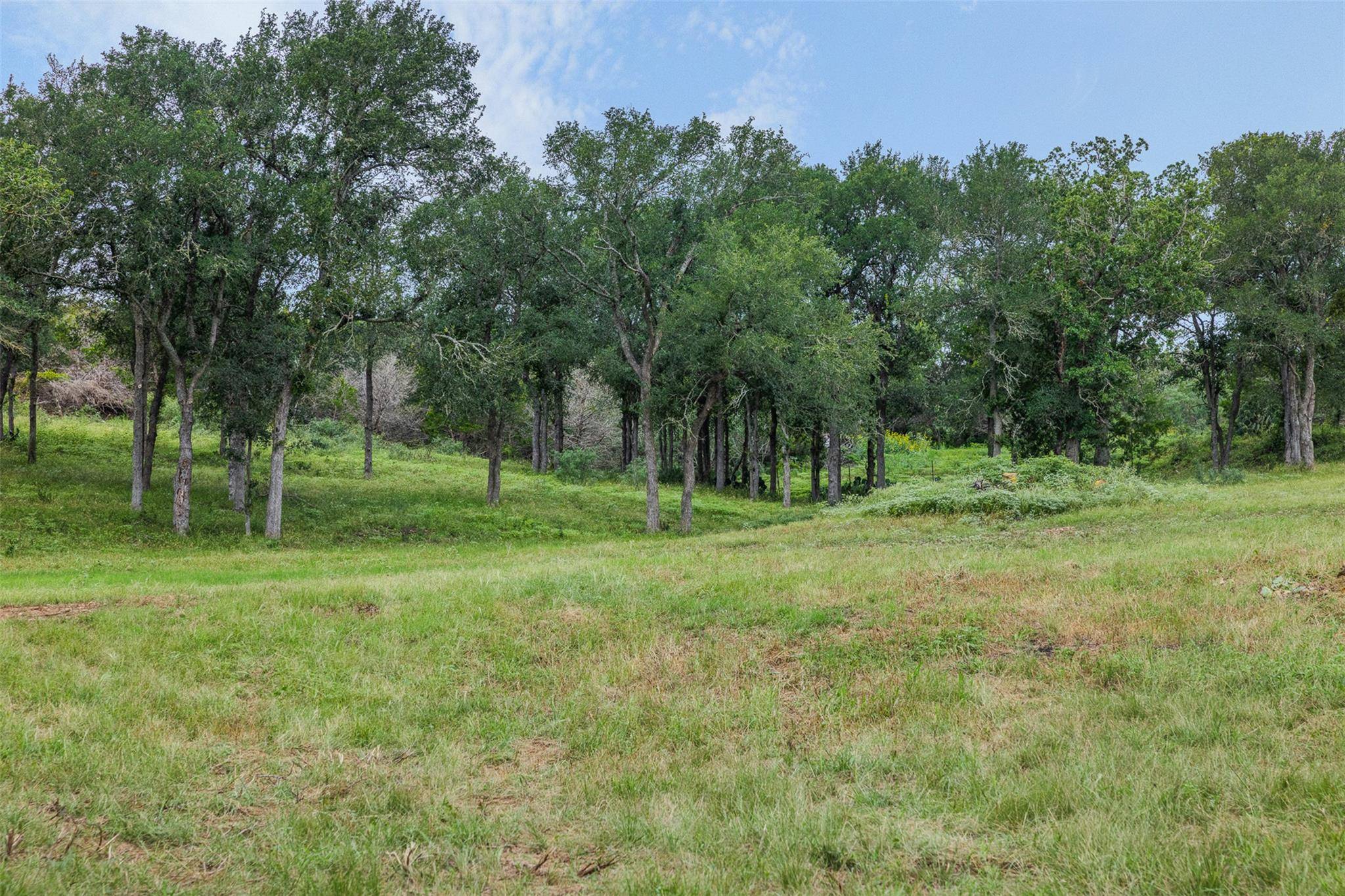 401 Fm 672, Dale, TX 78616