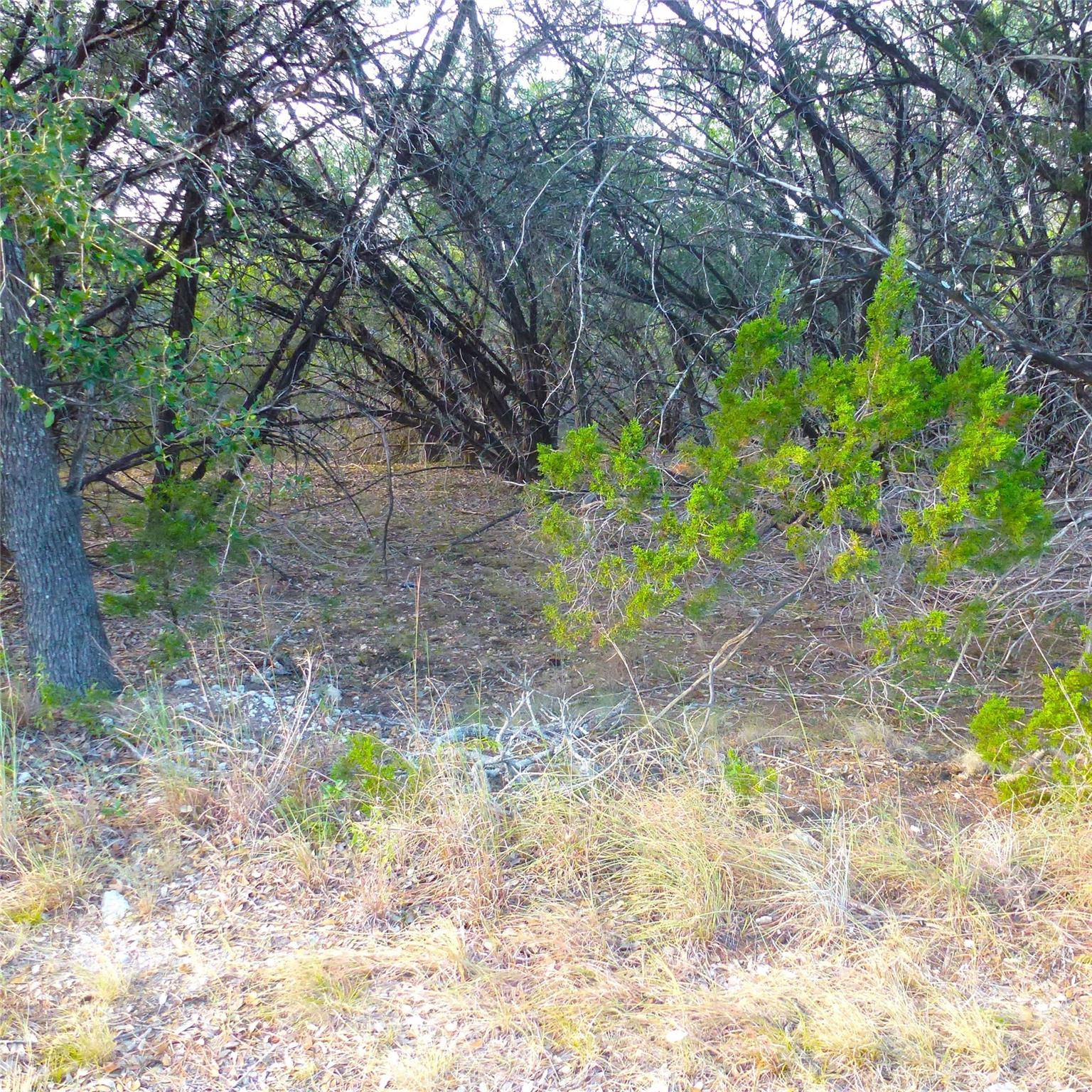 20402 Sunset Strip ST, Lago Vista, TX 78645
