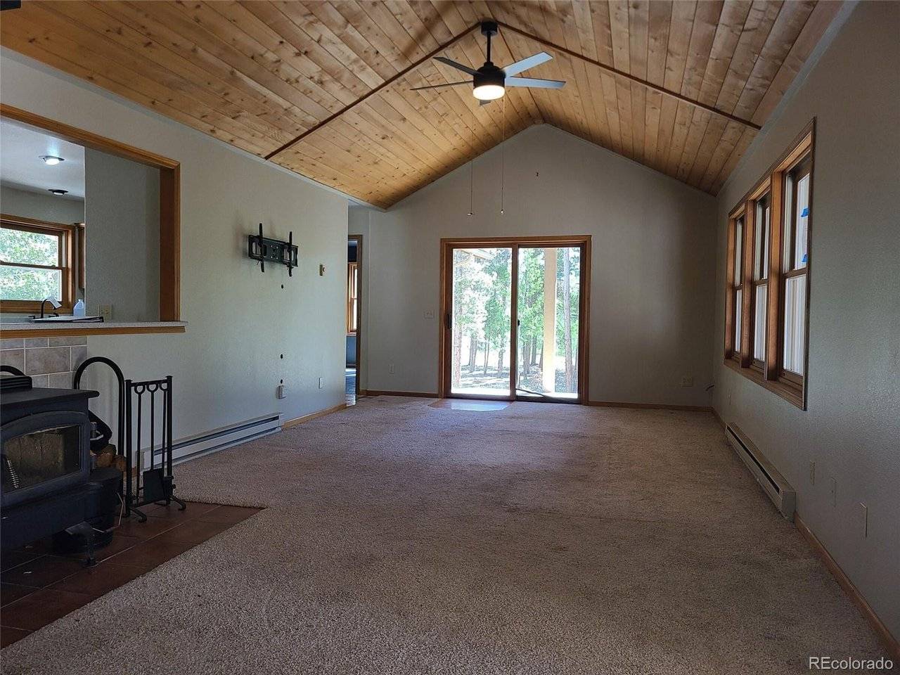 757 Thompson Park, Fairplay, CO 80440