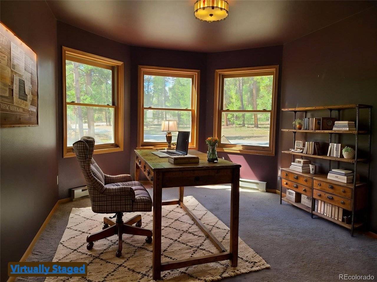 757 Thompson Park, Fairplay, CO 80440