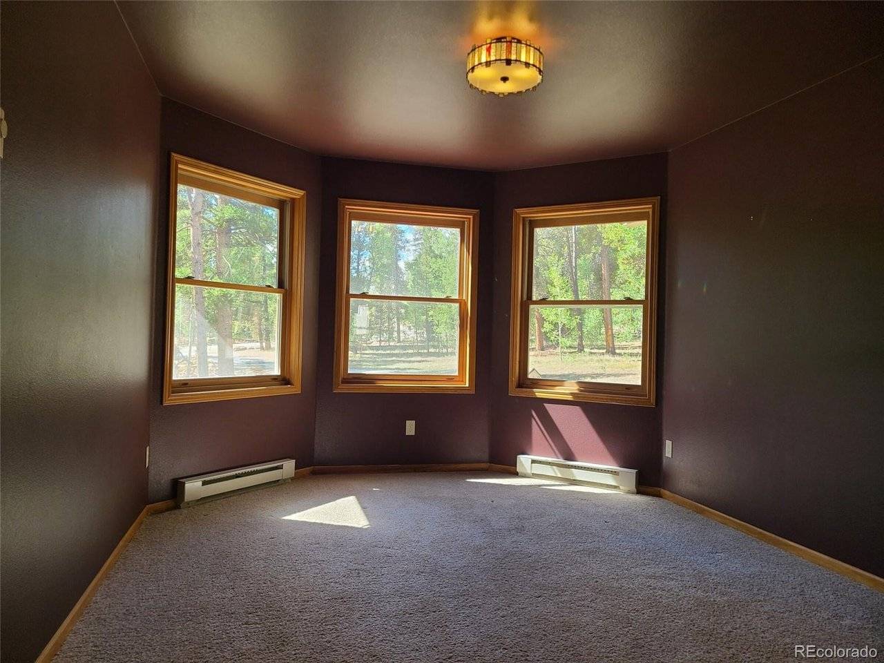 757 Thompson Park, Fairplay, CO 80440