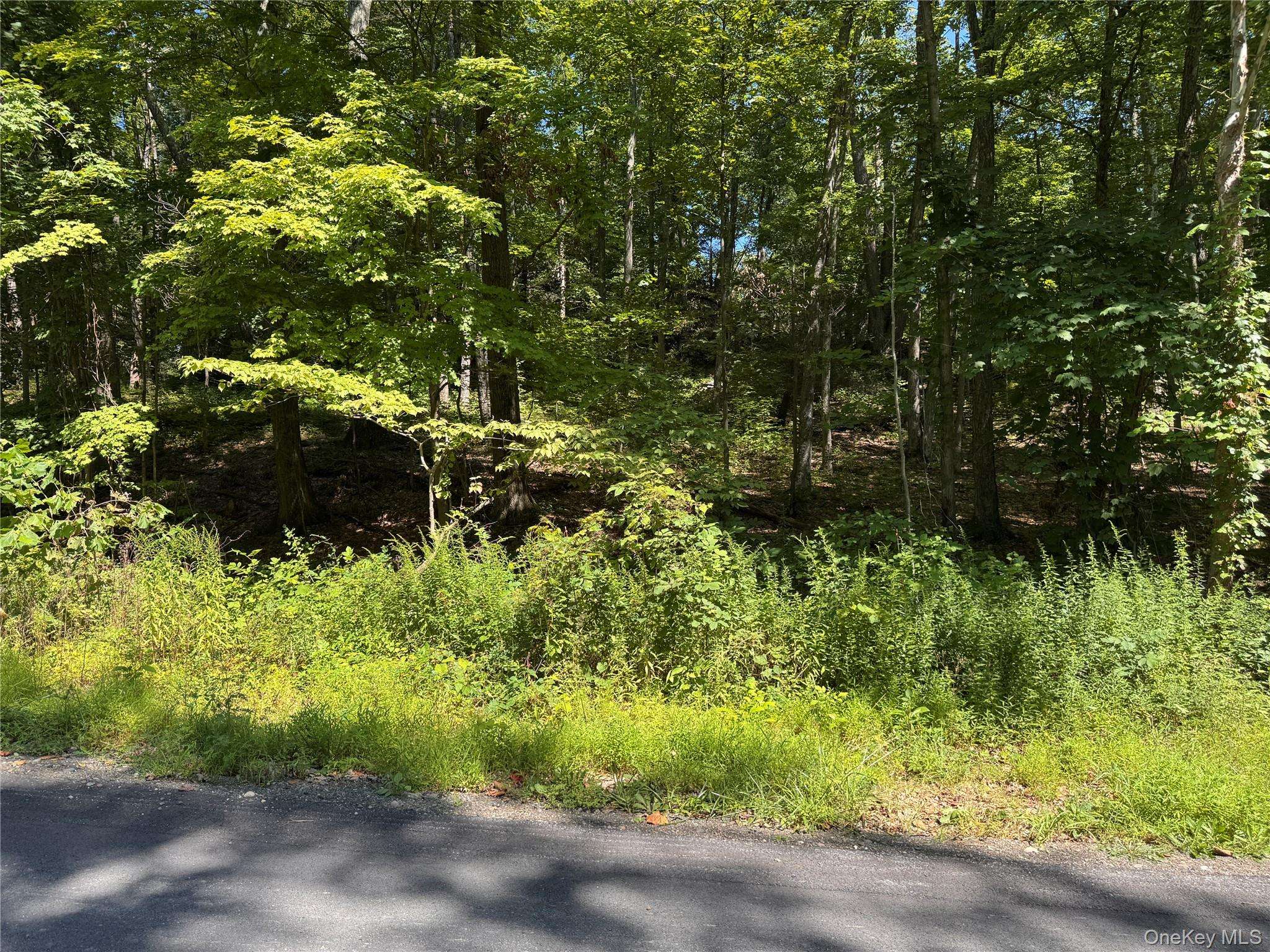 17 Vanessa LN, Staatsburg, NY 12580