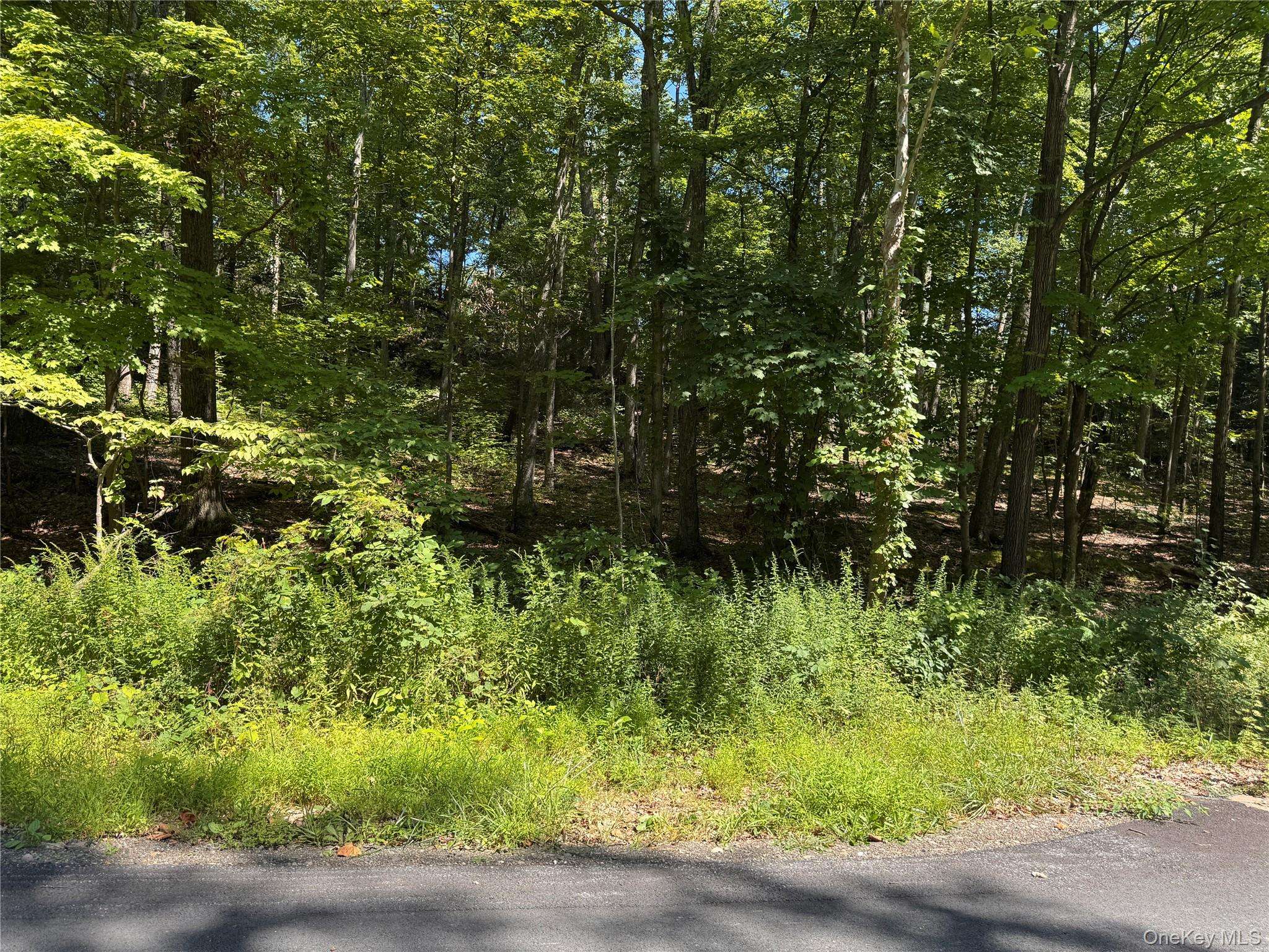 17 Vanessa LN, Staatsburg, NY 12580