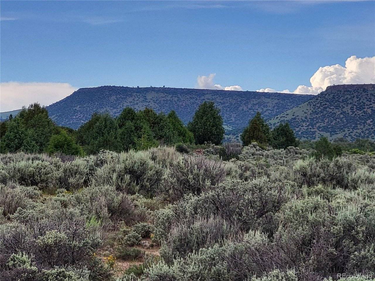 US Hwy 17, Antonito, CO 81120