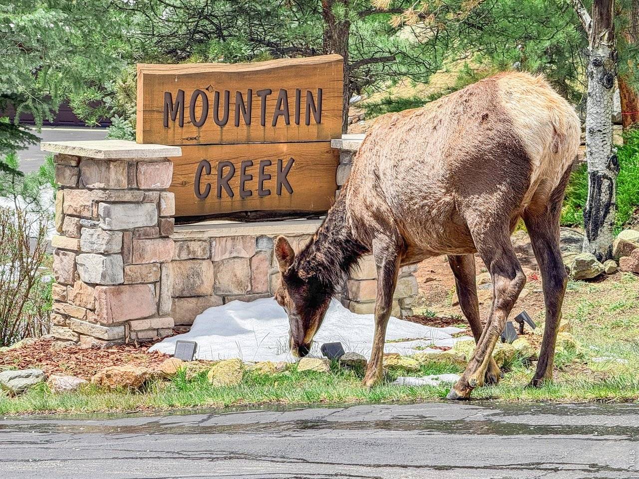 262 Steamer, Estes Park, CO 80517