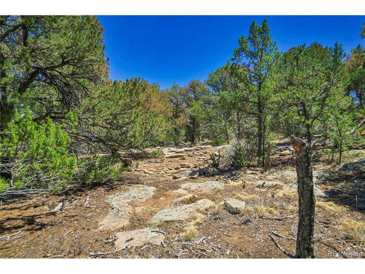 Address not disclosed, Aguilar, CO 81020