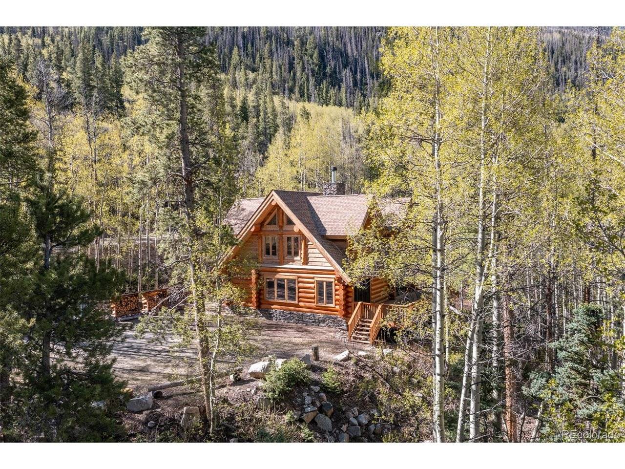 24500 County Road 162, Nathrop, CO 81236