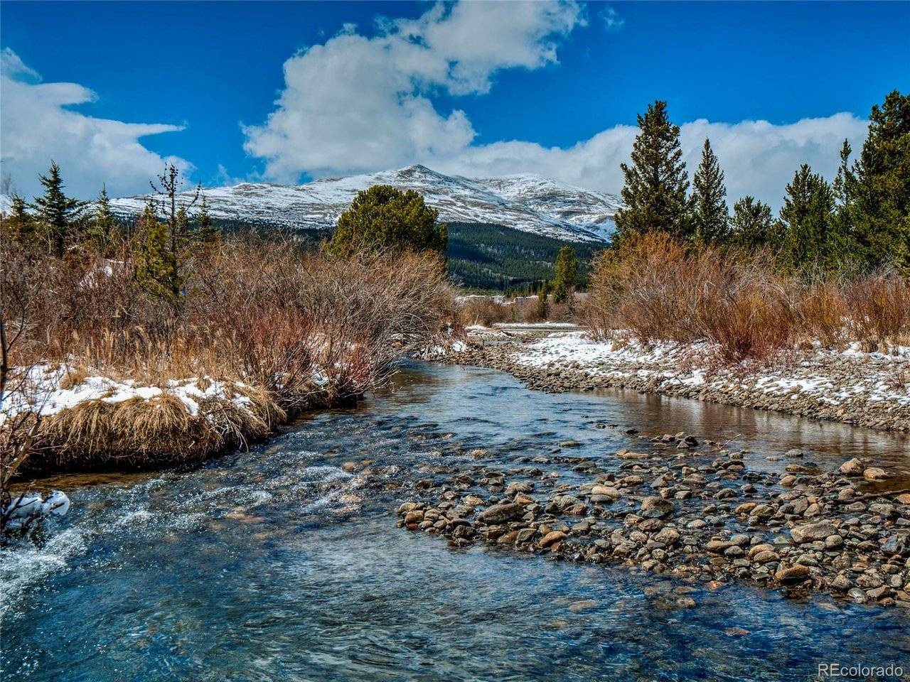 46 Singleton, Alma, CO 80420