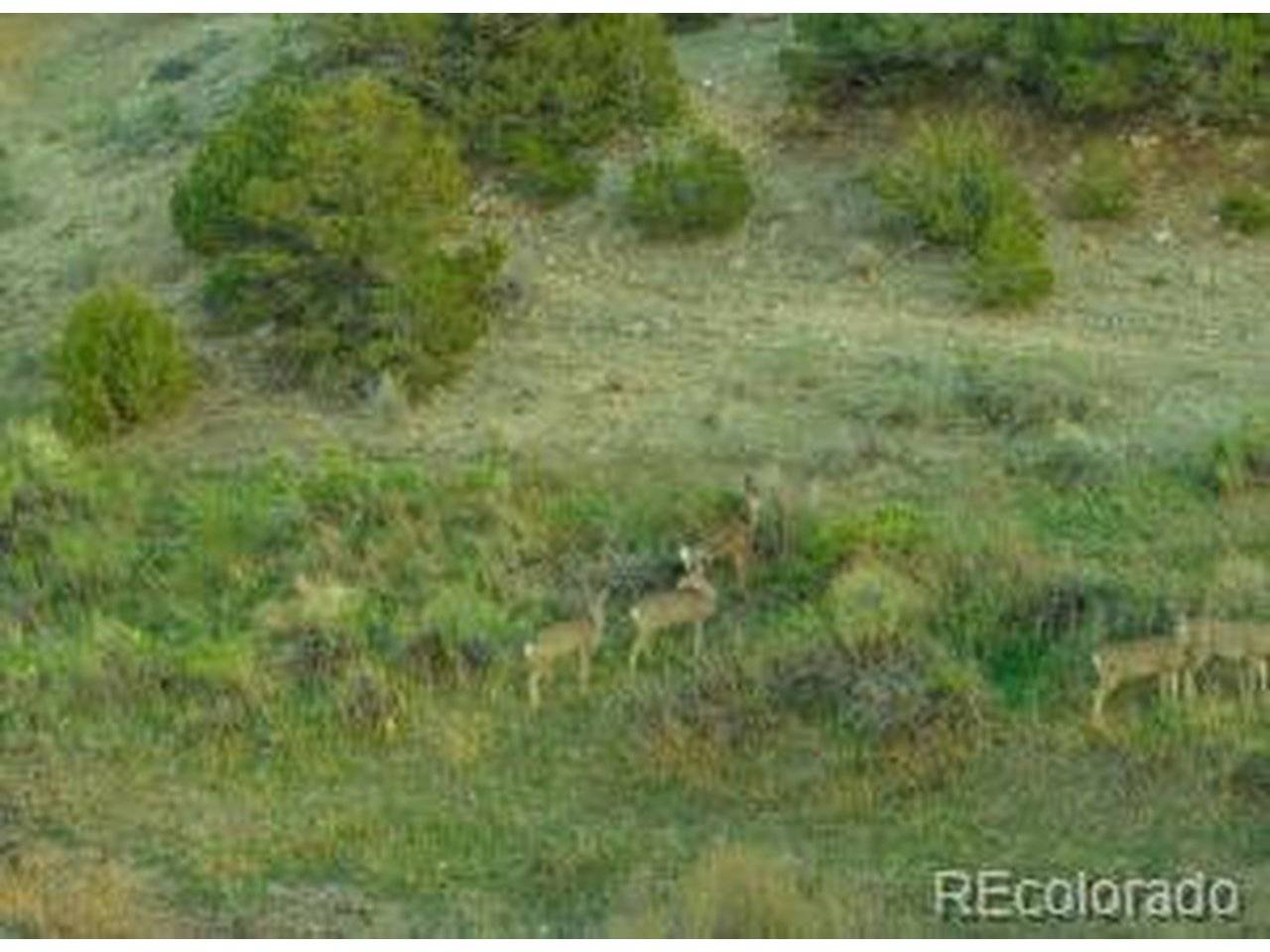 640 County Rd 571, Gardner, CO 81040