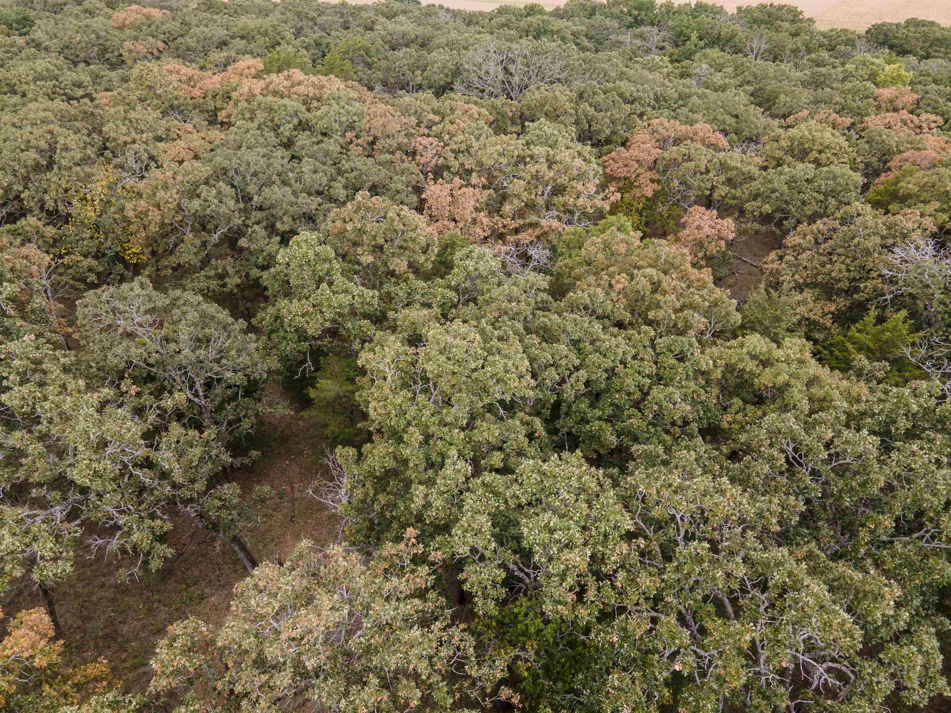 2124 Evergreen, Elk Falls, KS 67345