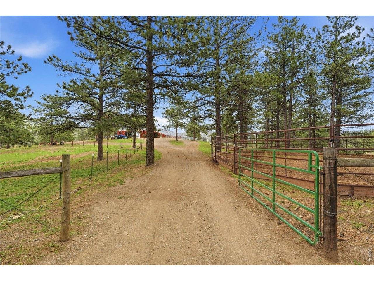 89 Aspen Leaf, Bellvue, CO 80512